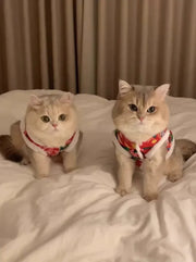 Chaqueta de gato con estampado floral de estilo folklórico chino