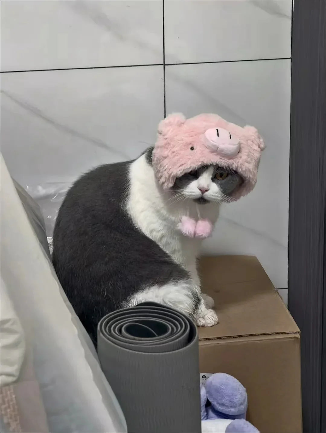 Piggy Pink Cat Hat