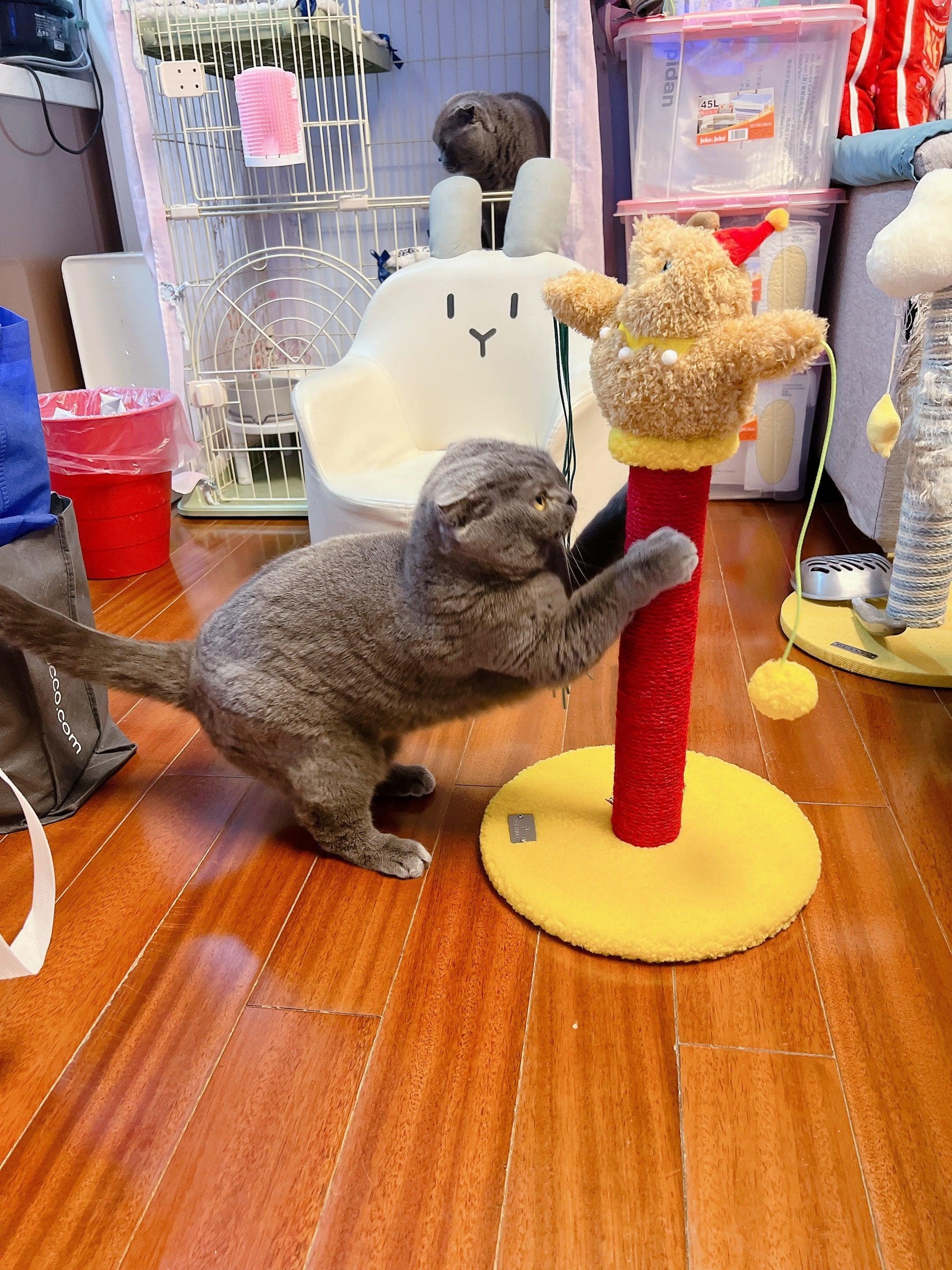 Circus Fun Katzenwohnserie (einschließlich Kratzbäume und Katzenbett) 