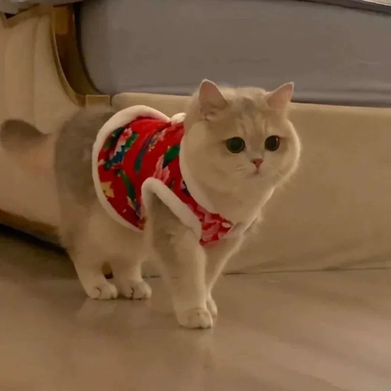 Chaqueta de gato con estampado floral de estilo folklórico chino