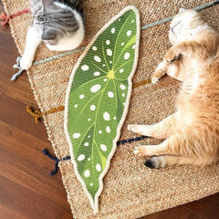 Green Plant Series Cat Scratcher