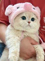 Piggy Pink Cat Hat