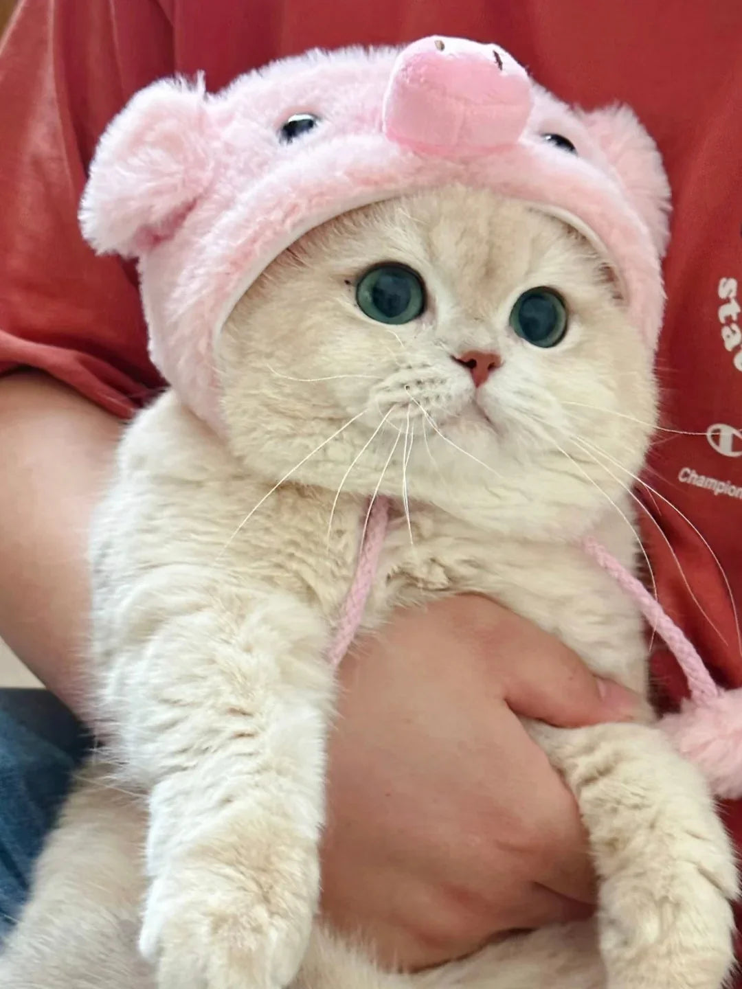 Piggy Pink Cat Hat
