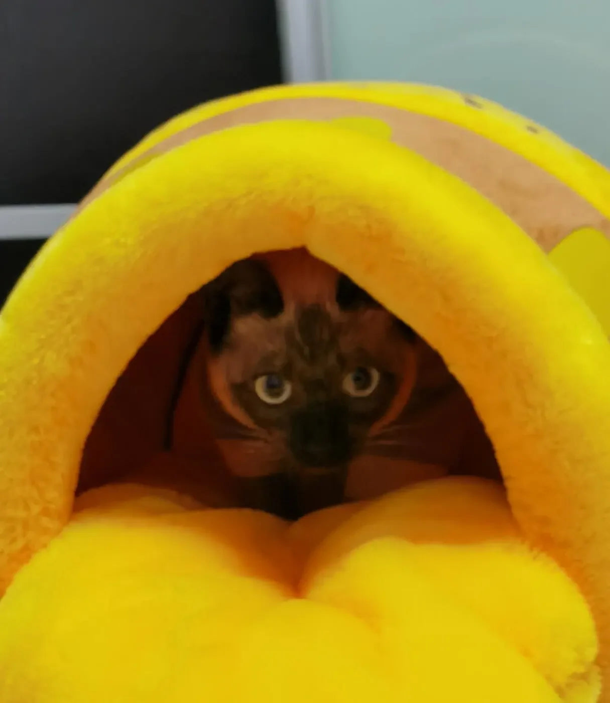 Katzenbett „Honey Pot Sweet Slumber“