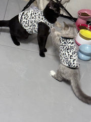 Leopard Print Fleece Cat `