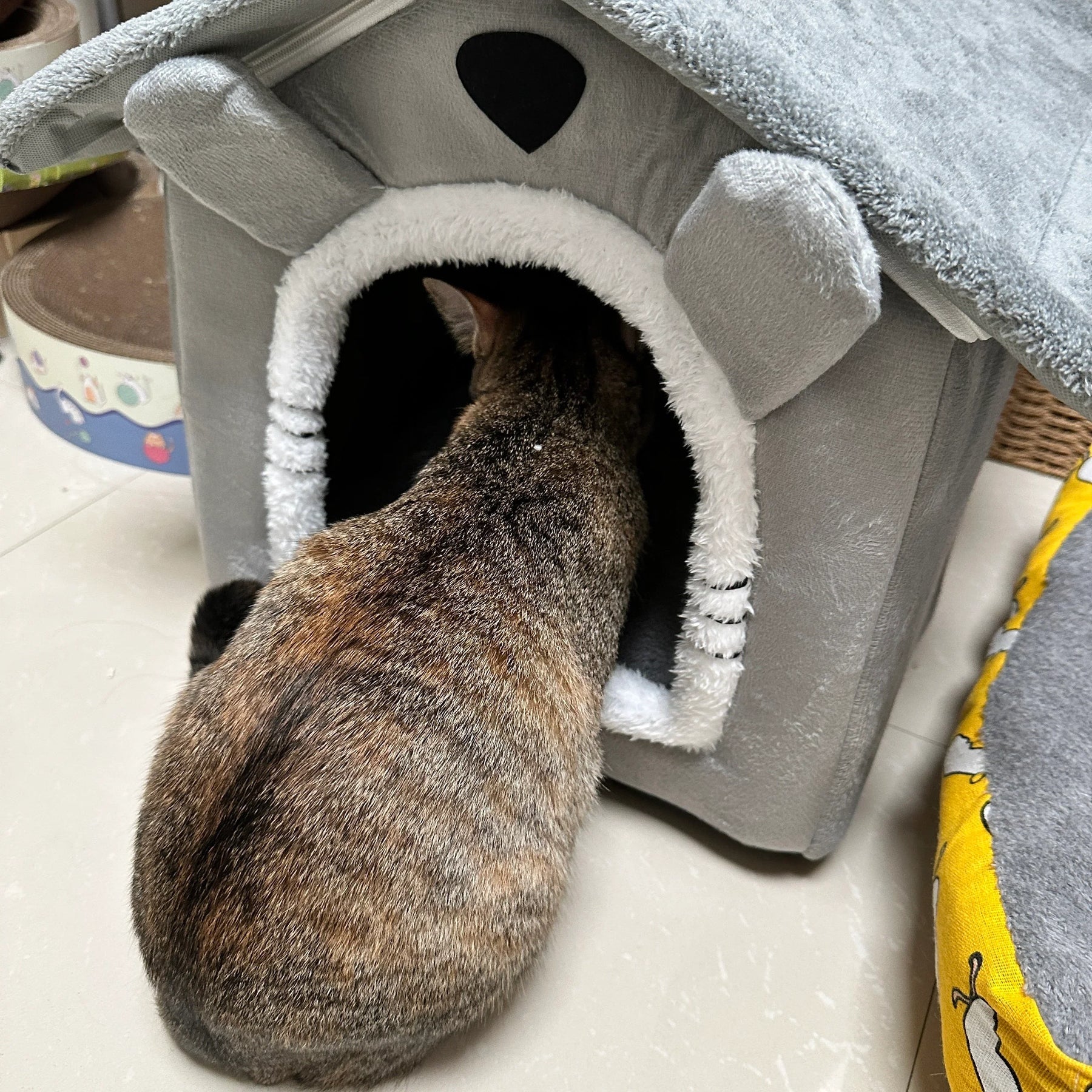 Graues Kaninchen-Gehege Katzenvilla 