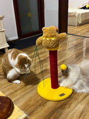 Circus Fun Katzenwohnserie (einschließlich Kratzbäume und Katzenbett) 