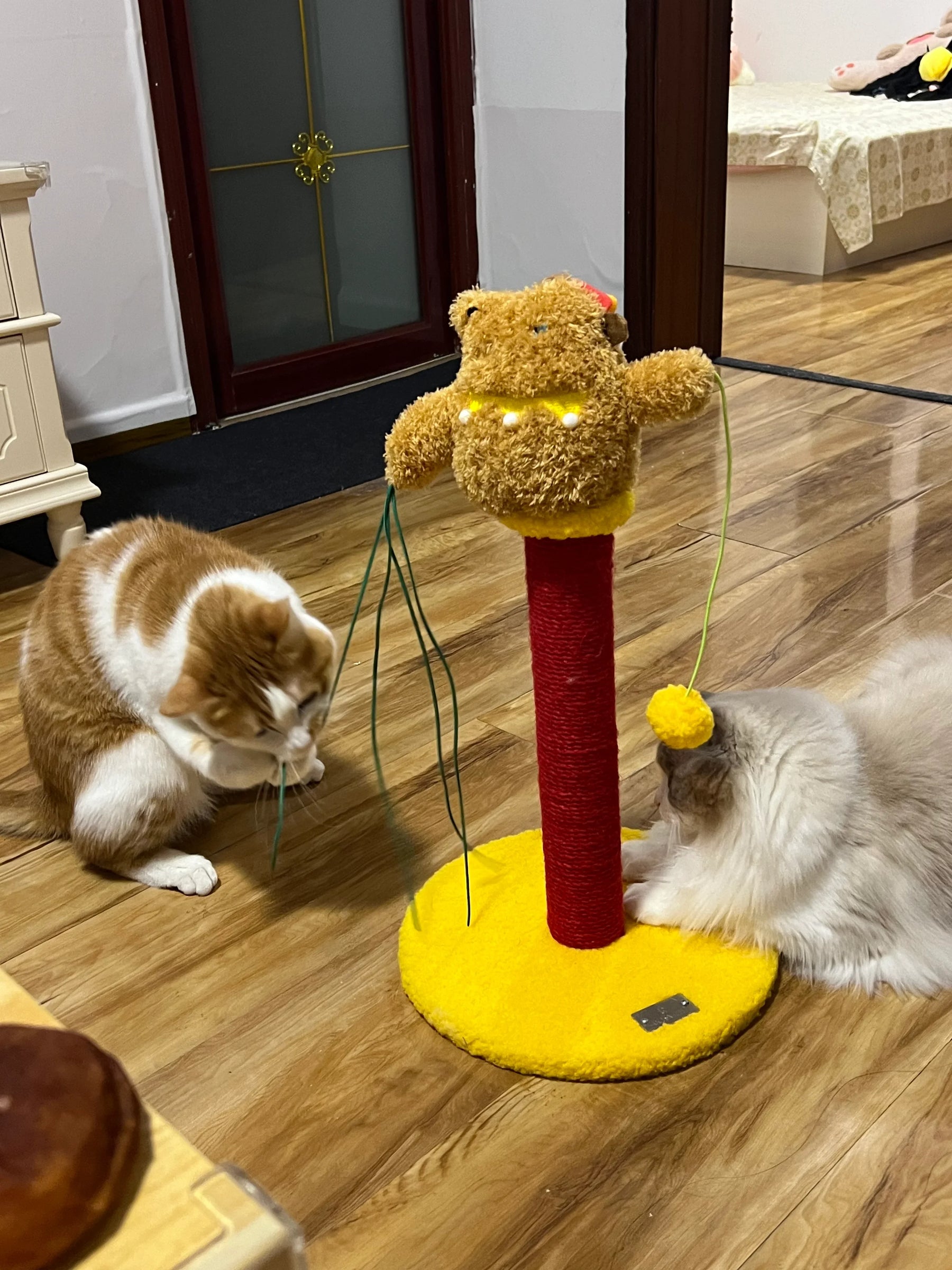 Circus Fun Katzenwohnserie (einschließlich Kratzbäume und Katzenbett) 