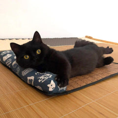 Summer Cooling Rattan Pet Mat with Bolster Pillow