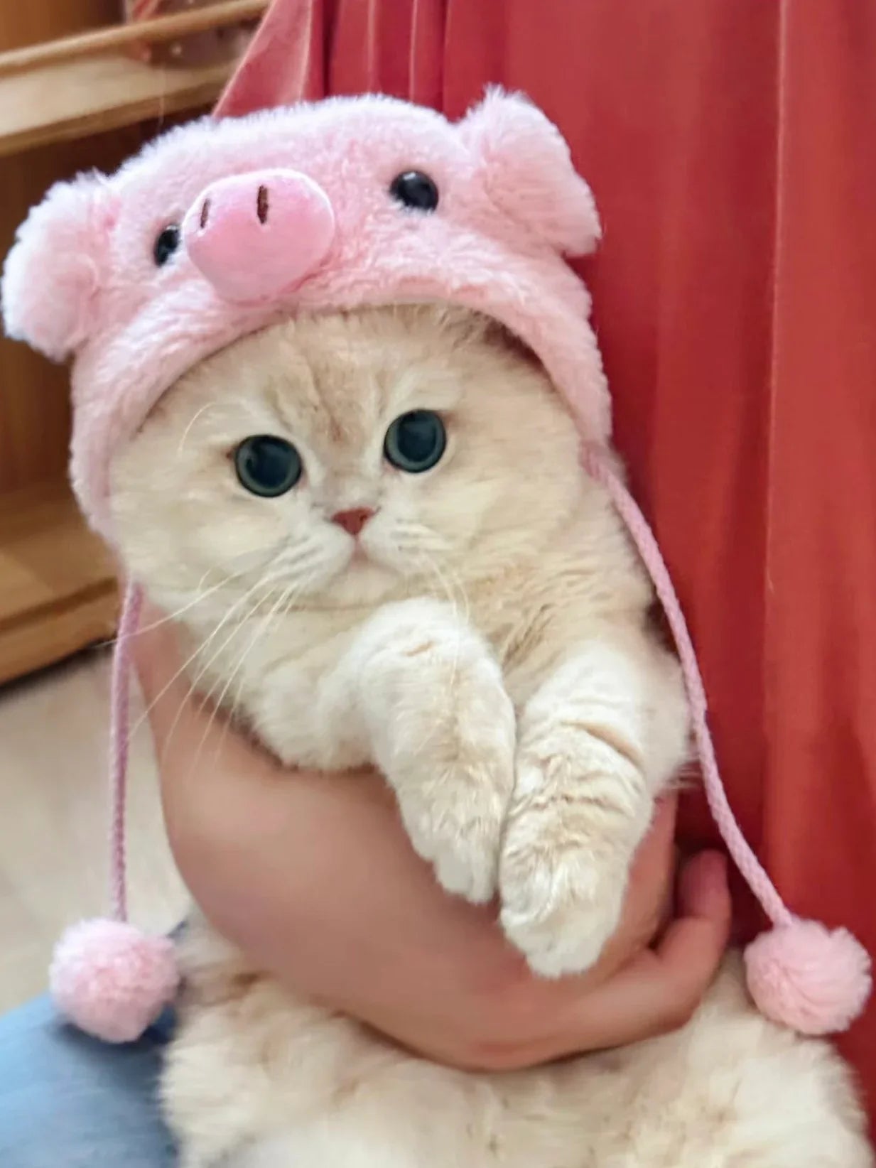 Piggy Pink Cat Hat