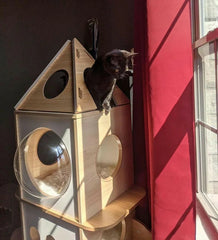 Space Rocket-Themed Cat Tree