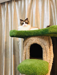 Wild Stump Villa Cat Tree
