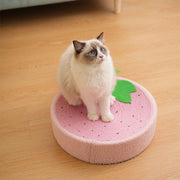 Niedlicher Katzenkratzbaum mit Schweinchenmotiv 