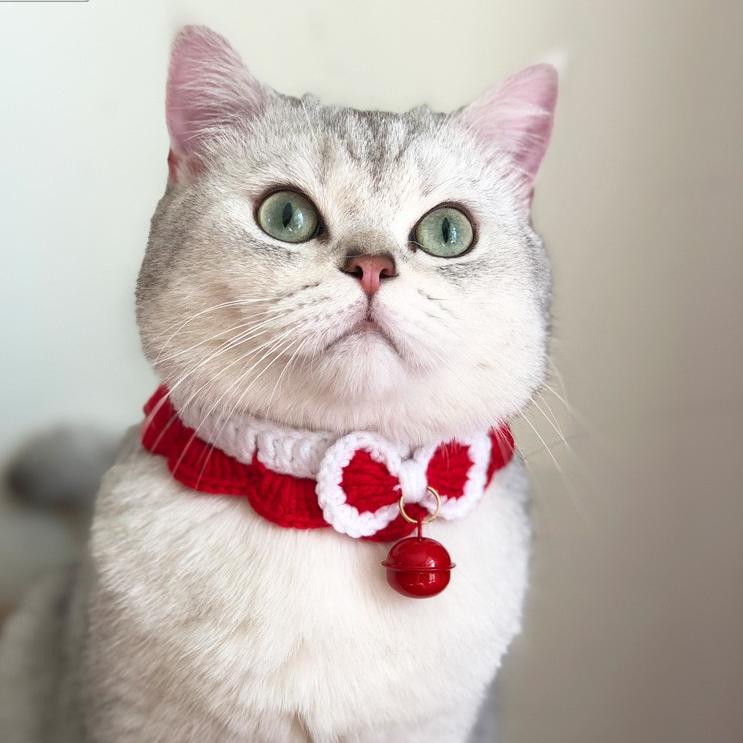 Sweet Bowtie Cat Collar