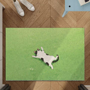 Fauler Katzen-Kunstrasen-Teppich