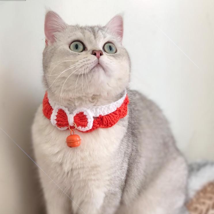 Sweet Bowtie Cat Collar