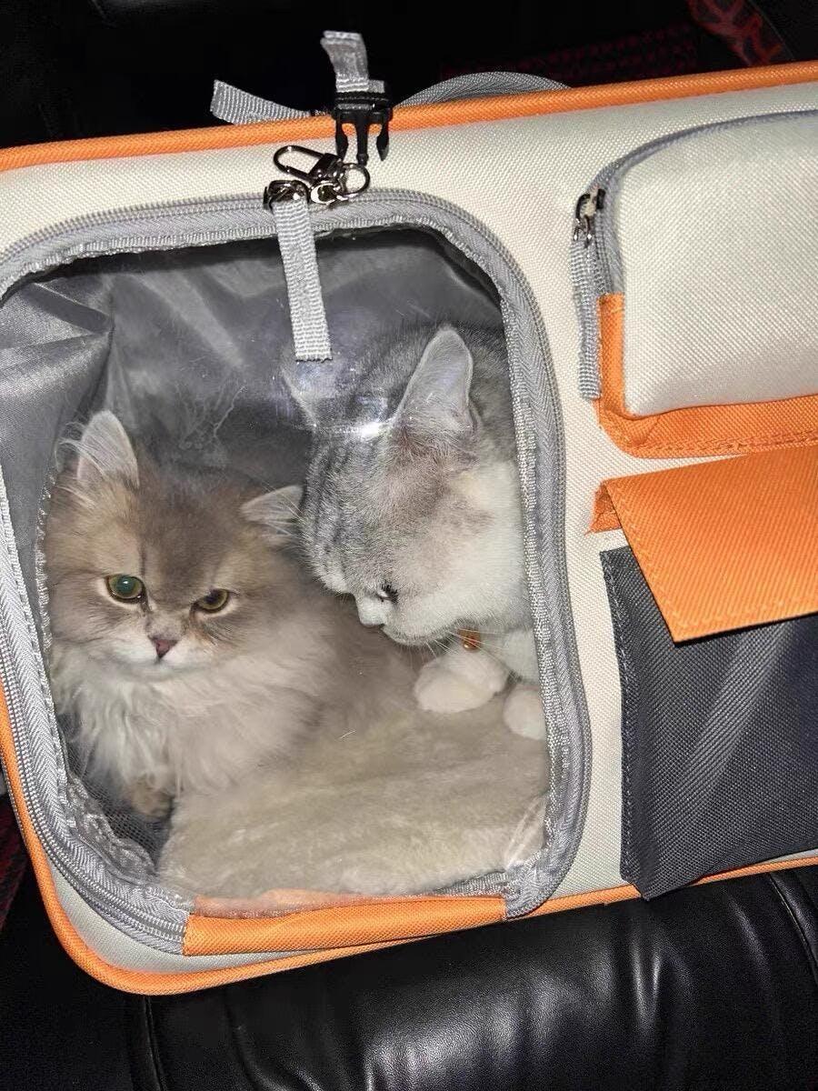 Versatile Easy-Go · Trolley & Backpack Breathable Cat Carrier