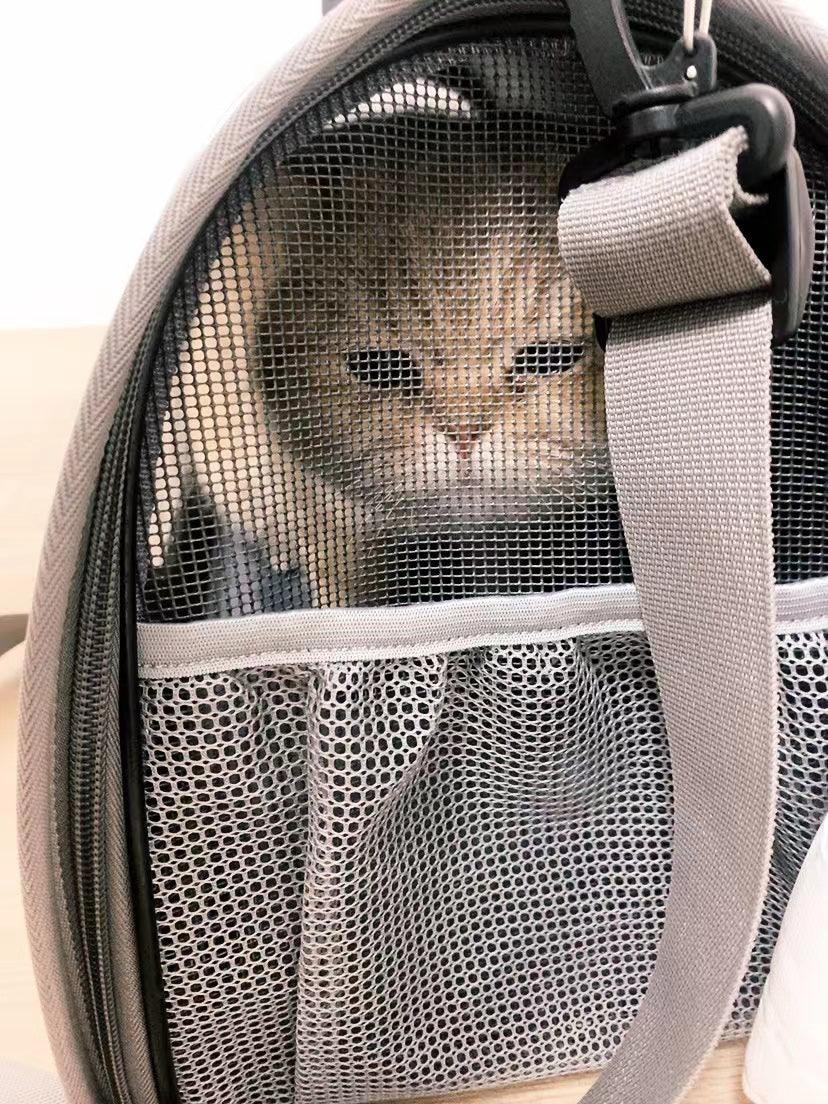 Stylish Pet Carrier Bag