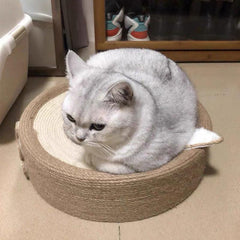 Niedlicher Katzenkratzbaum mit Schweinchenmotiv 