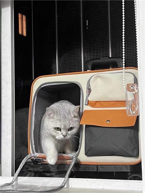 Versatile Easy-Go · Trolley & Backpack Breathable Cat Carrier