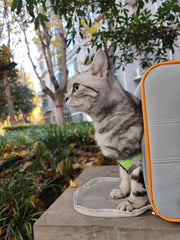 Versatile Easy-Go · Trolley & Backpack Breathable Cat Carrier