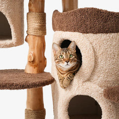 Mushroom Forest Multi-Level Solid Wood Cat Tree