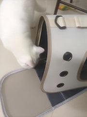 Stylish Pet Carrier Bag