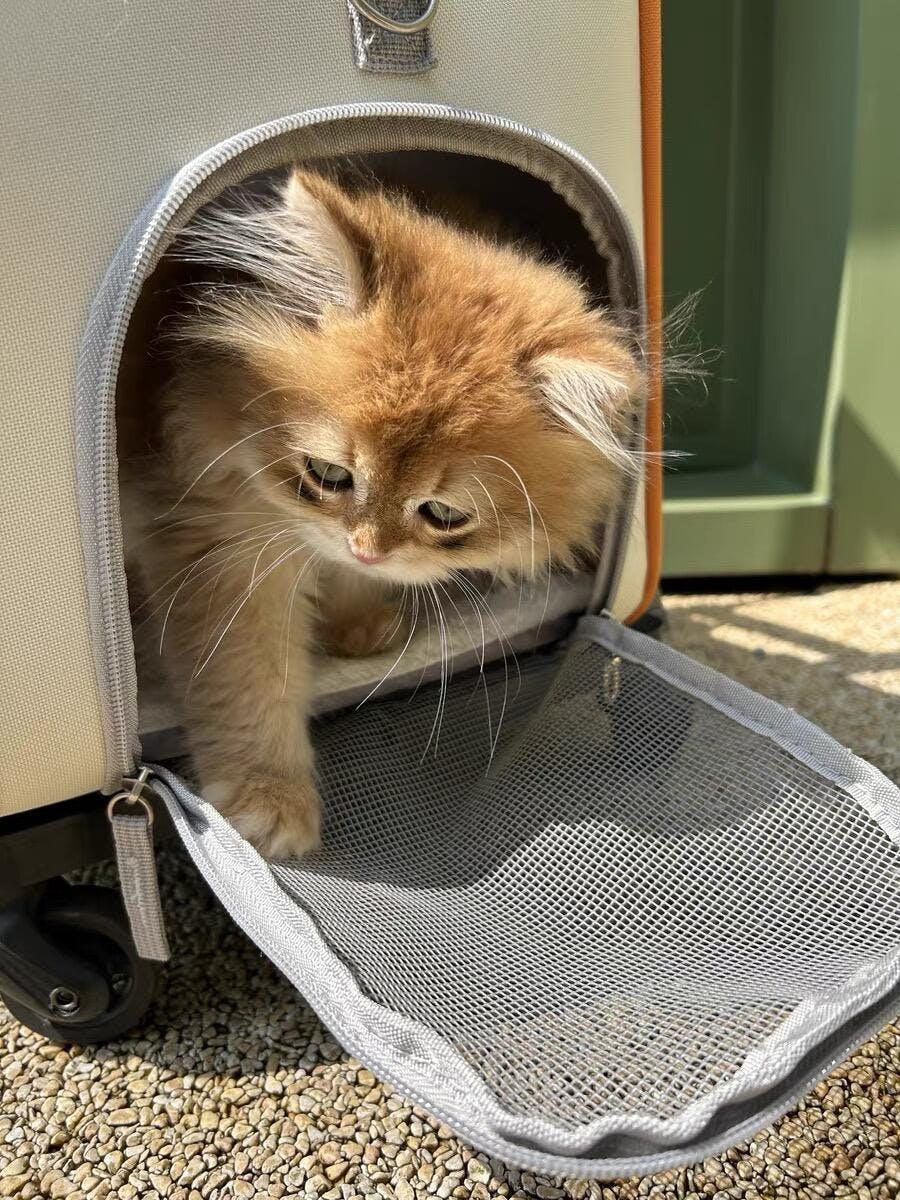 Versatile Easy-Go · Trolley & Backpack Breathable Cat Carrier