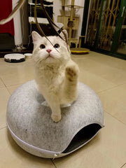 Cama túnel de fieltro para gatos CircleFun (estilo neumático cerrado y seguro)