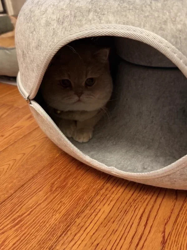 Cama túnel de fieltro para gatos CircleFun (estilo neumático cerrado y seguro)