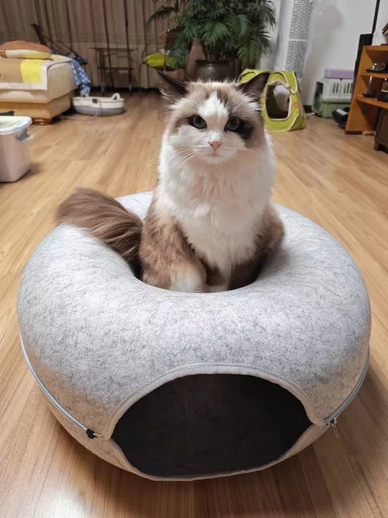 Cama túnel de fieltro para gatos CircleFun (estilo neumático cerrado y seguro)
