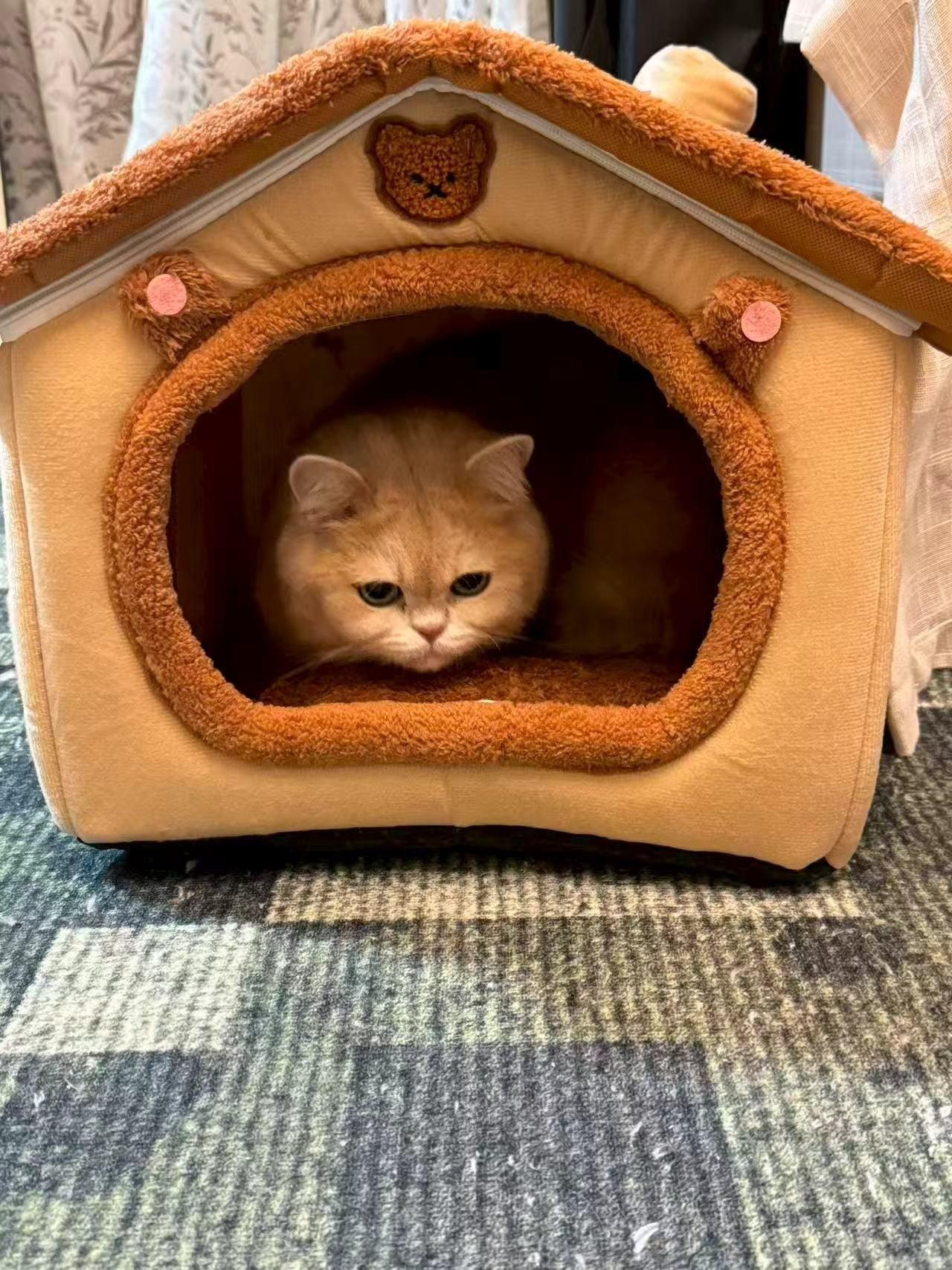 Graues Kaninchen-Gehege Katzenvilla 
