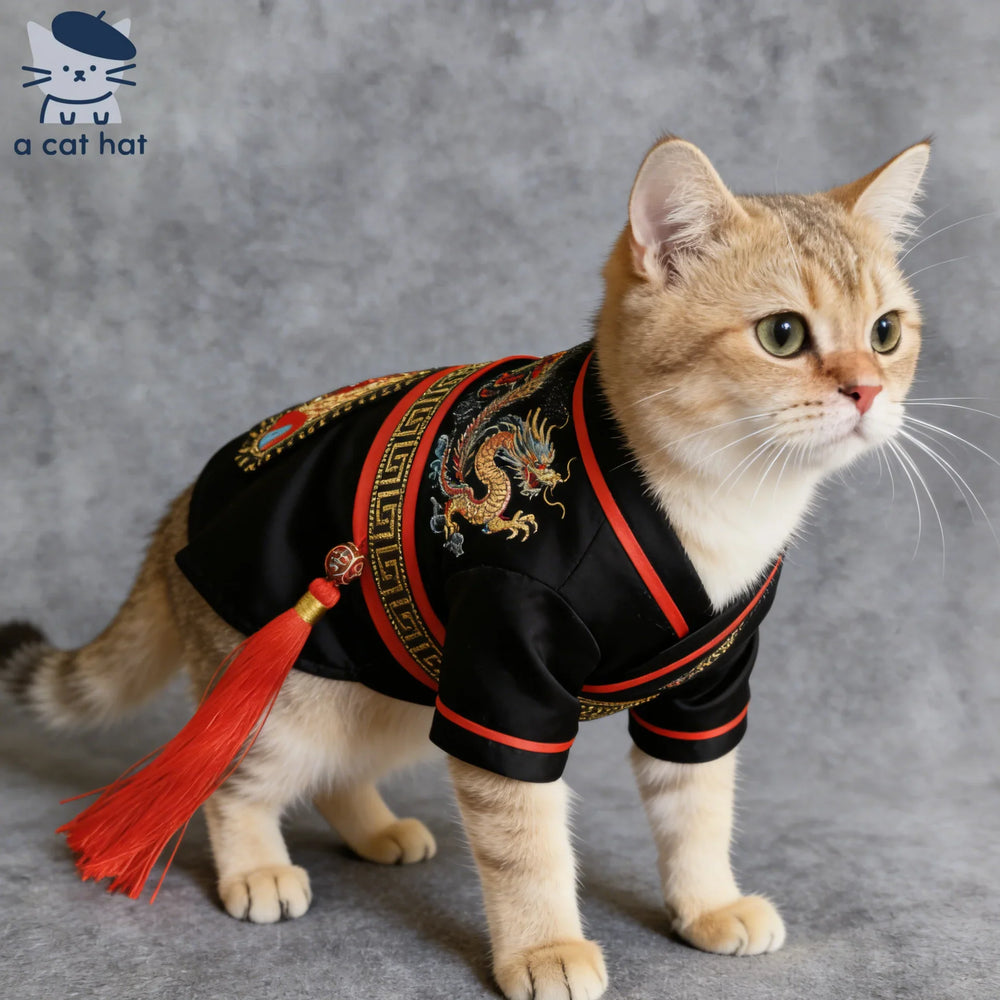 Shadow Black Warrior・Ancient-Style Martial Arts Hanfu