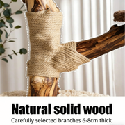 Mushroom Forest Multi-Level Solid Wood Cat Tree