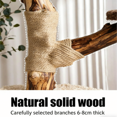 Mushroom Forest Multi-Level Solid Wood Cat Tree