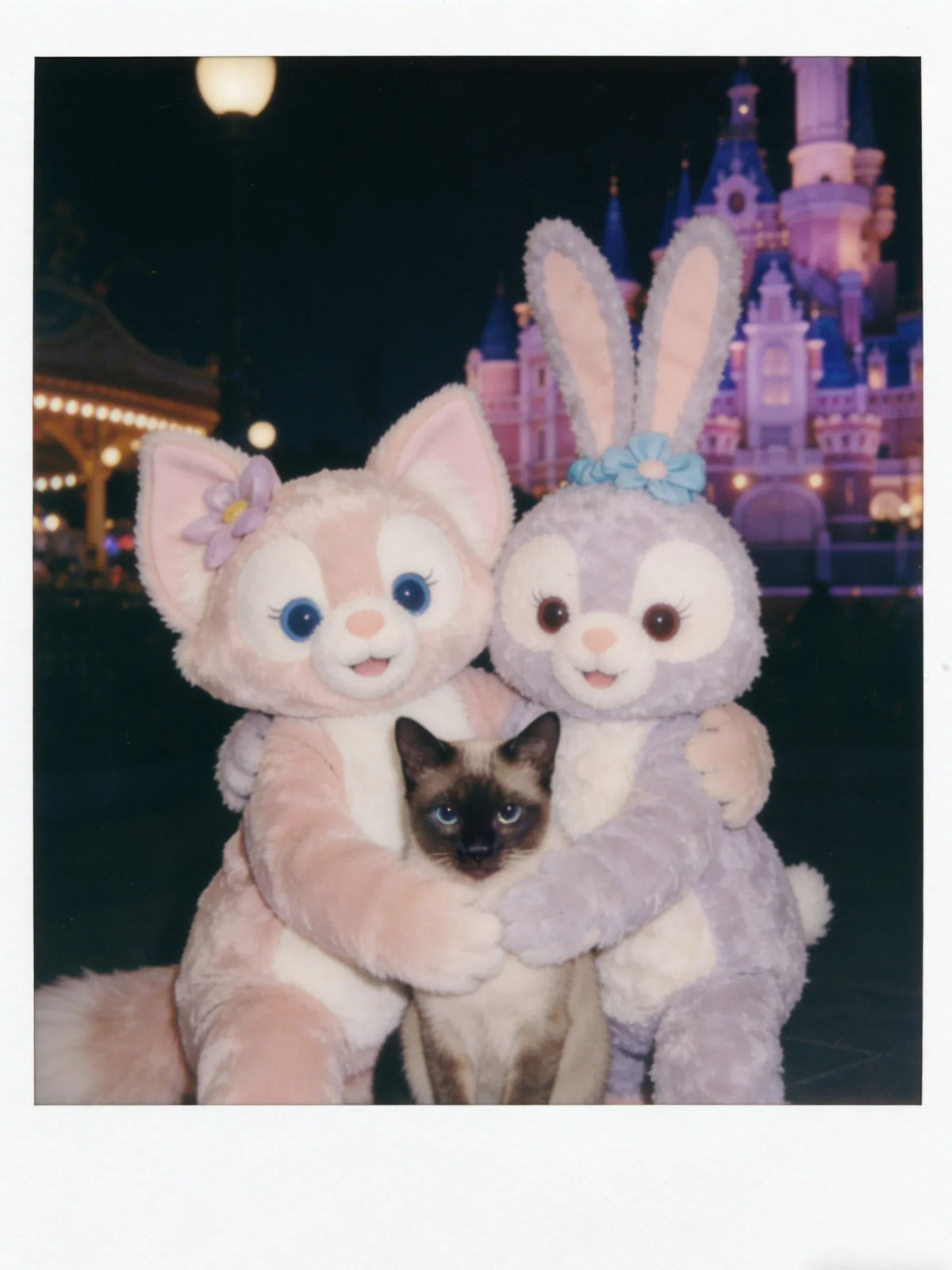 Tierfotografie | Gruppenfoto-Stil im Disneyland-Stil