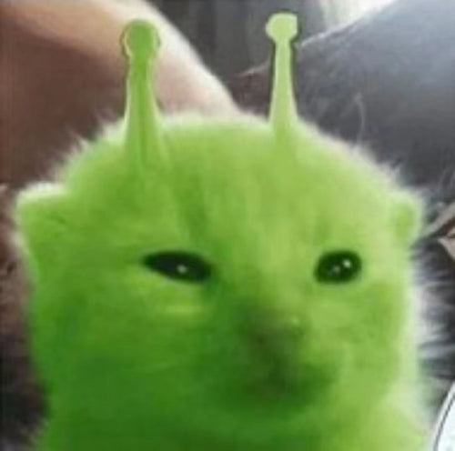 Acathat cat or product image