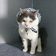 Katze läuft von zu Hause weg (Set)