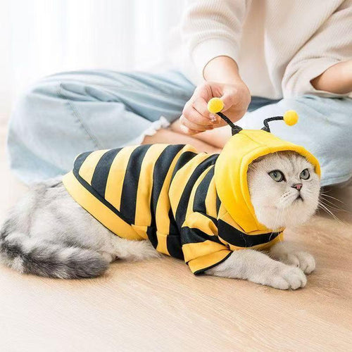 Sudadera con capucha Bee Cat