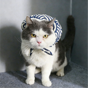 Katze läuft von zu Hause weg (Set)