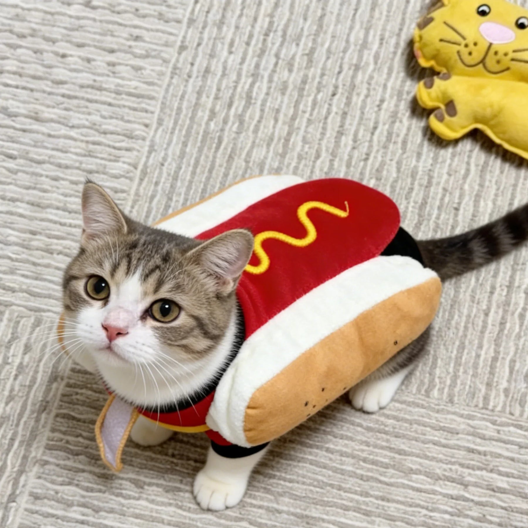 Hot-Dog-Kostüm 