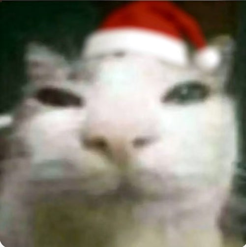 Acathat cat or product image
