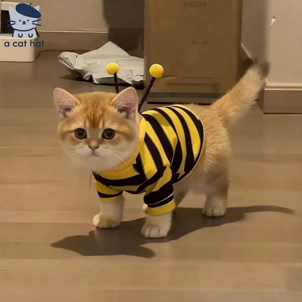 Sudadera con capucha Bee Cat