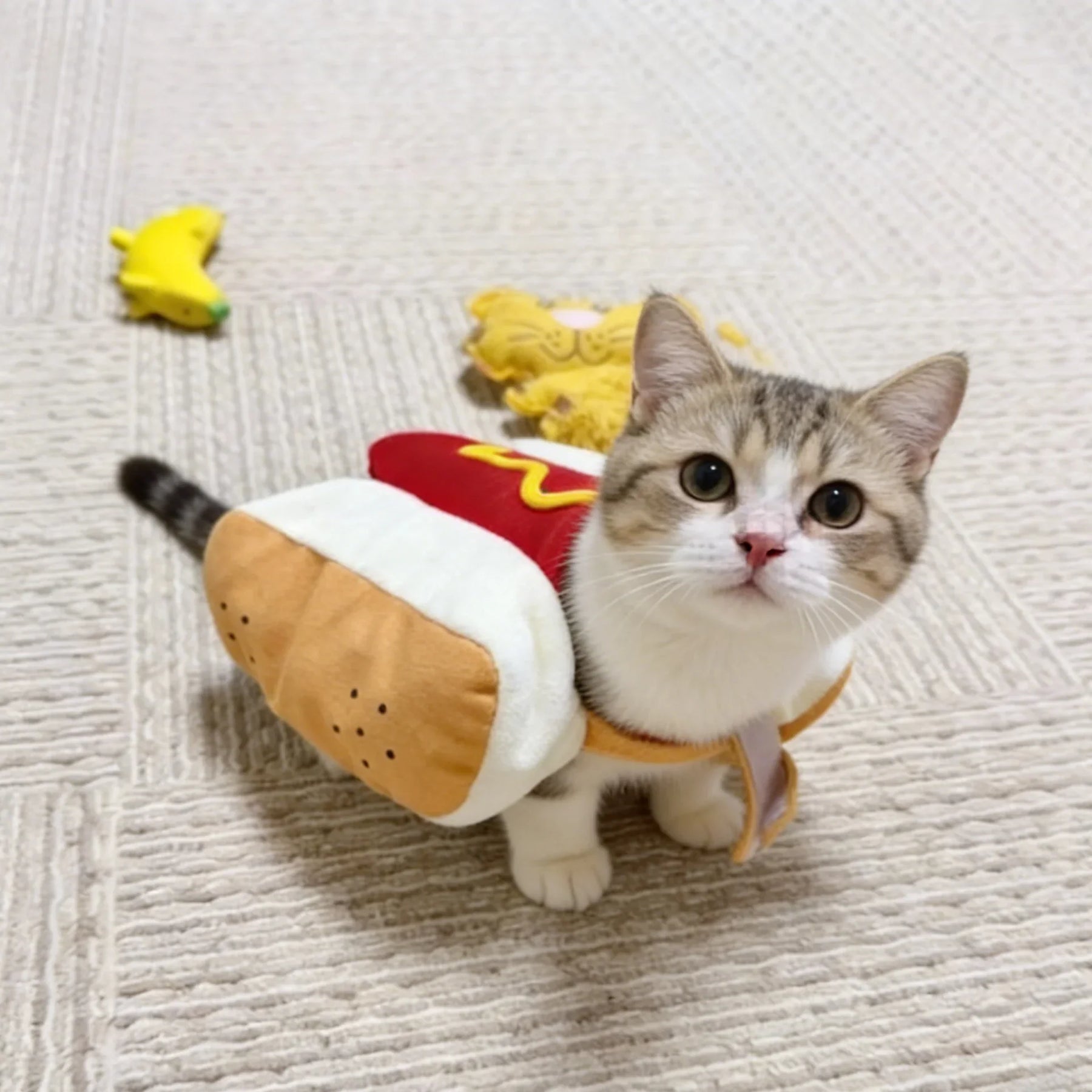Hot-Dog-Kostüm 