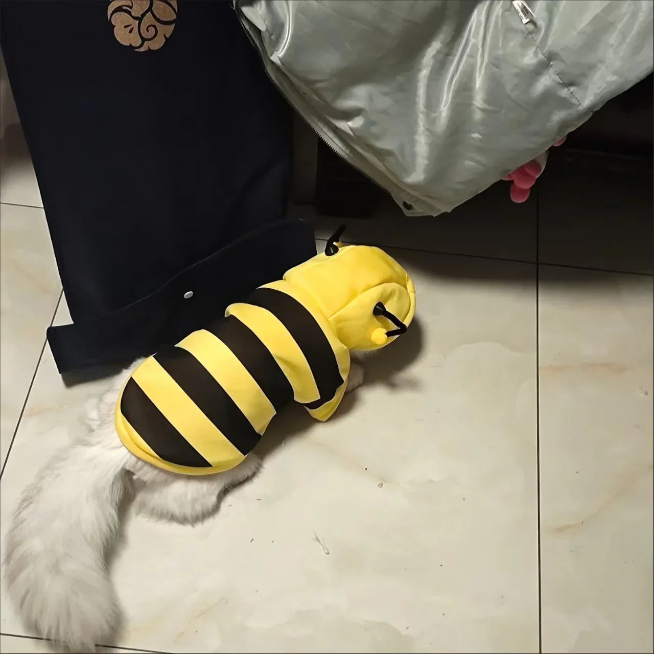 Bee Cat Hoodie