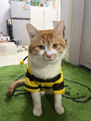 Bee Cat Hoodie