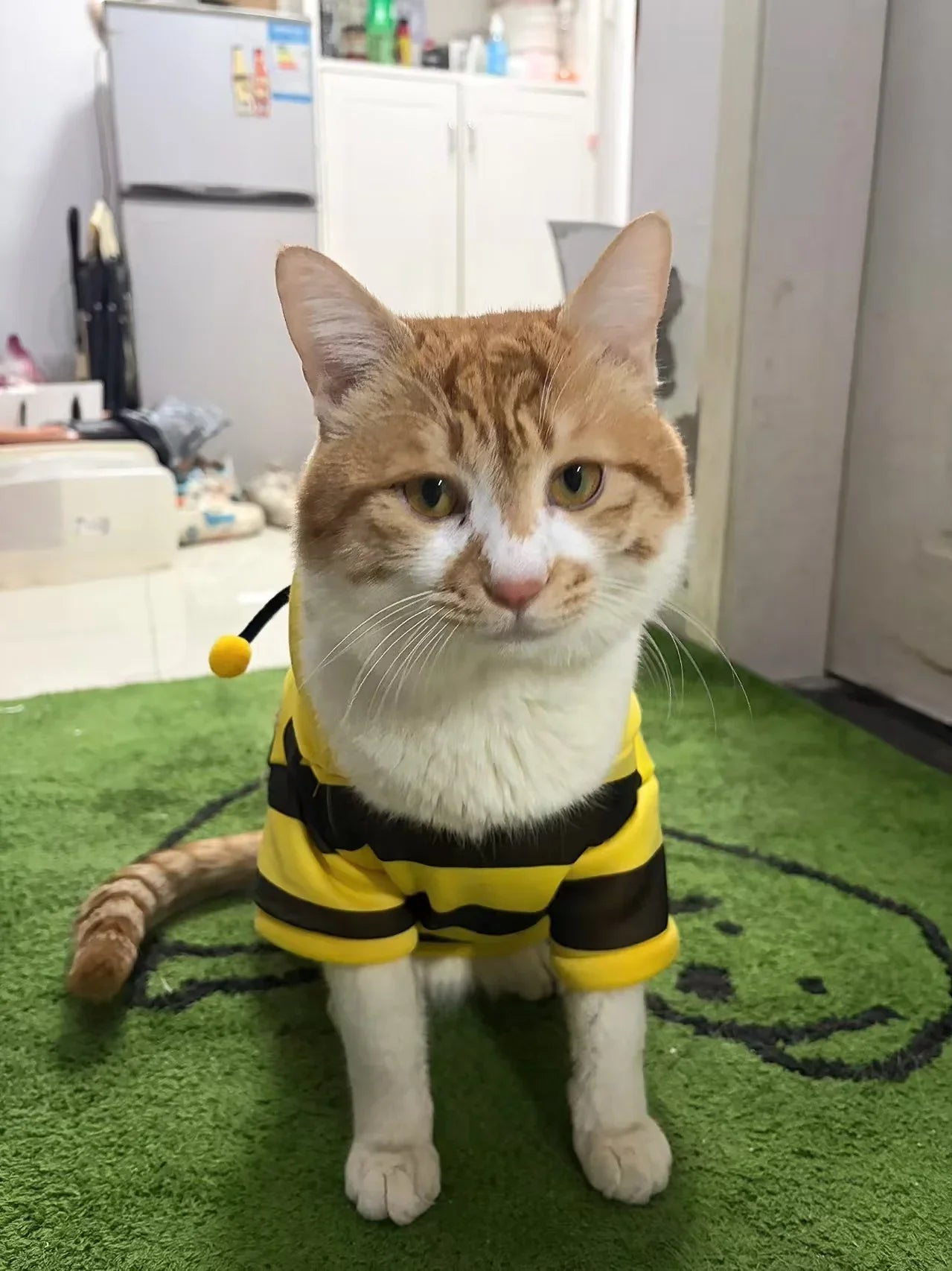 Bee Cat Hoodie