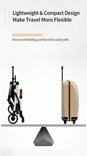 Multi-Function Pet Stroller (with Detachable Carrier)
