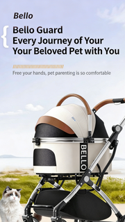 Multi-Function Pet Stroller (with Detachable Carrier)