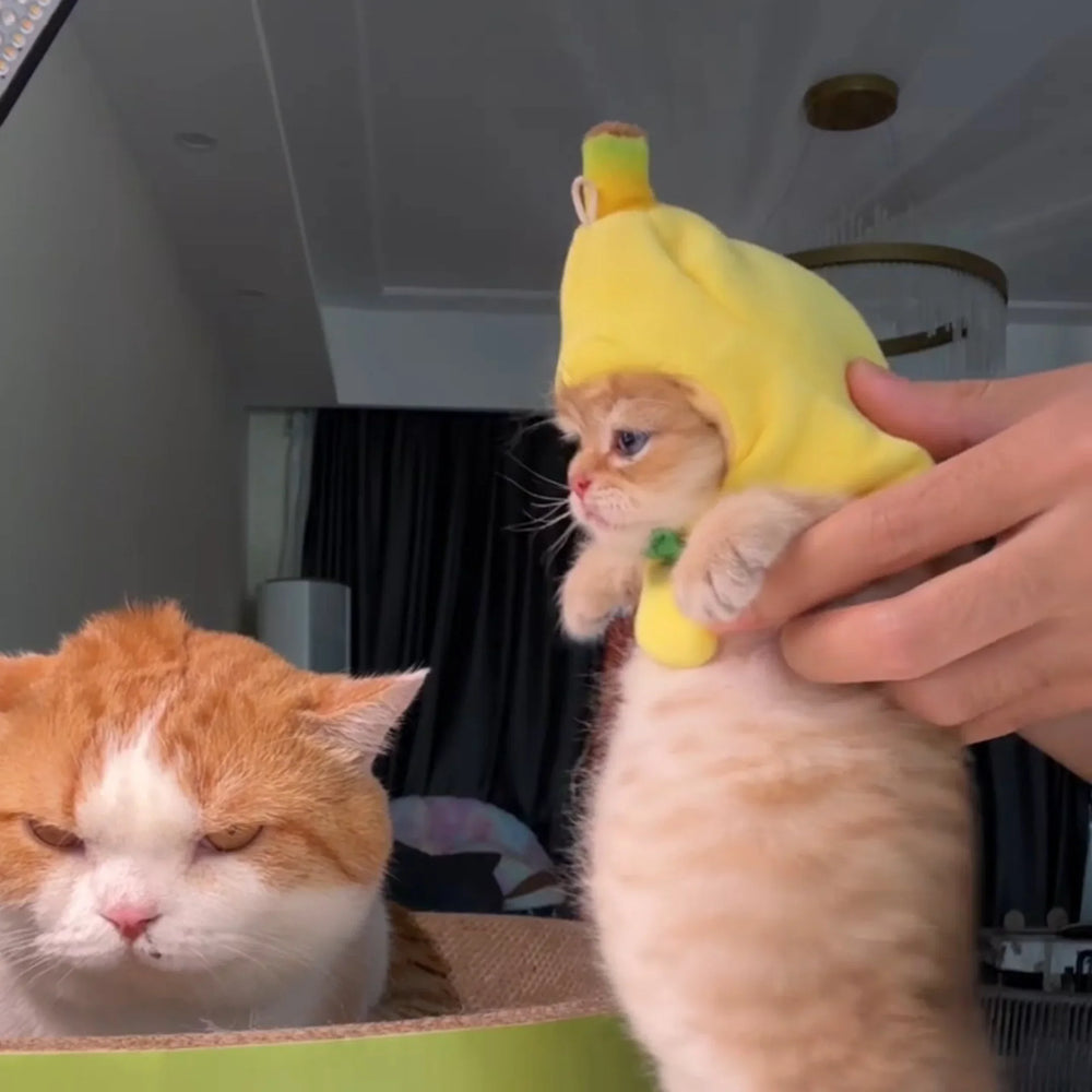 Disfraz de gato banana lindo
